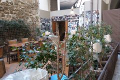 Donna-Sofia-inside-garden-scaled